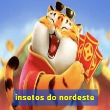 insetos do nordeste